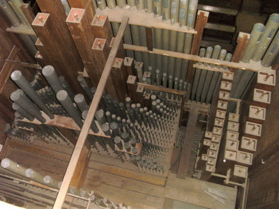 Orgel web1